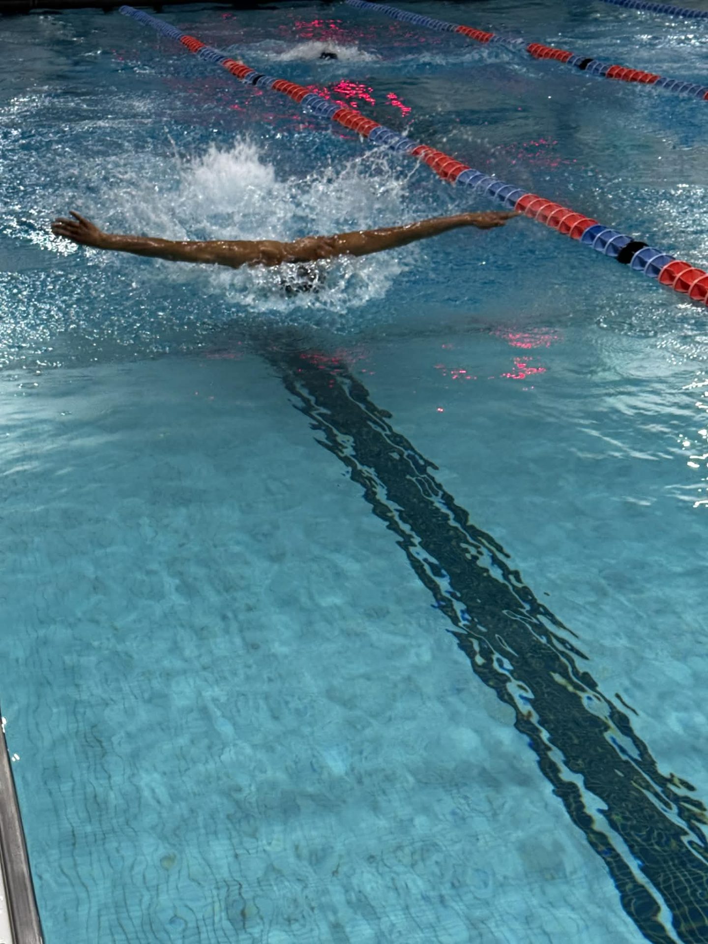 2026 Swimming Special Olympics - Downeast Horizons