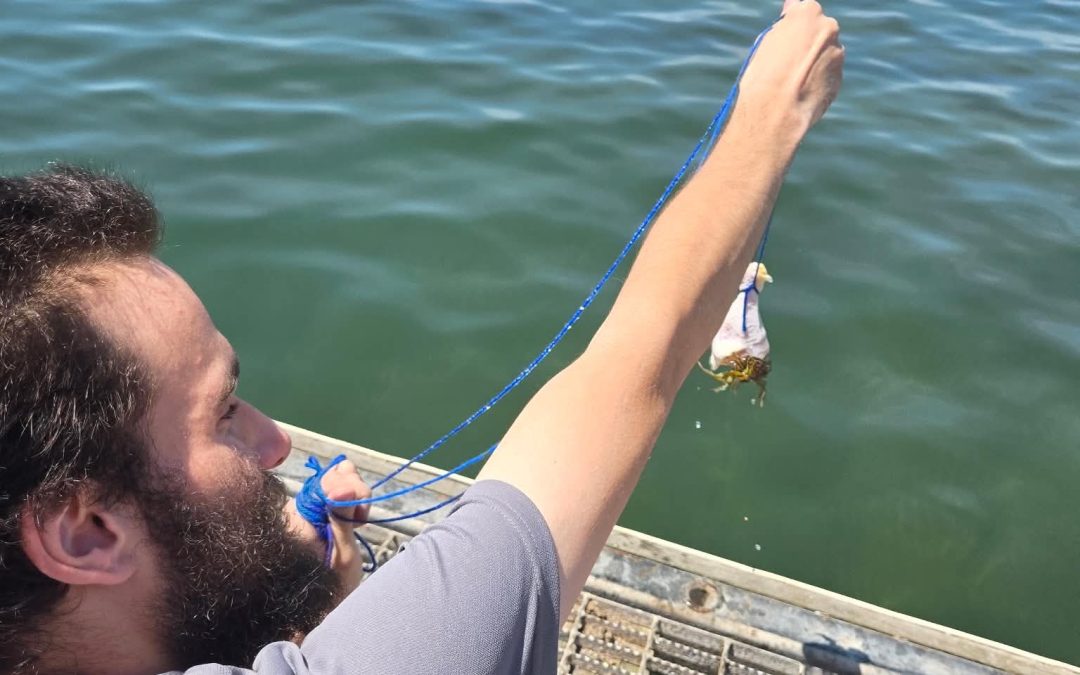 Crab Fishing in Tremont!
