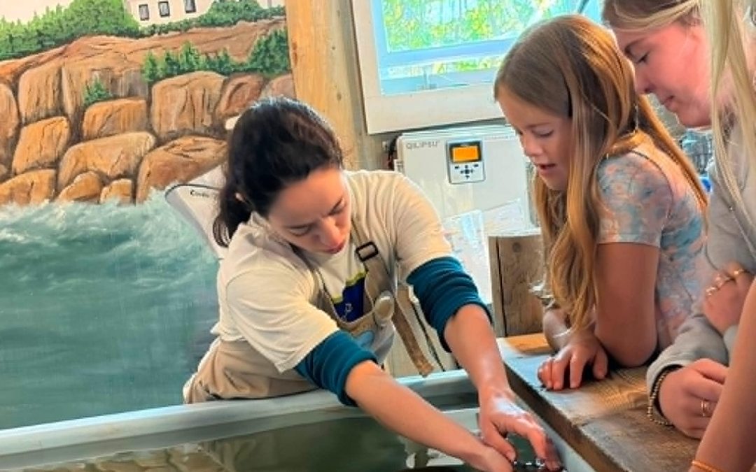 2026 Oceanarium Visit